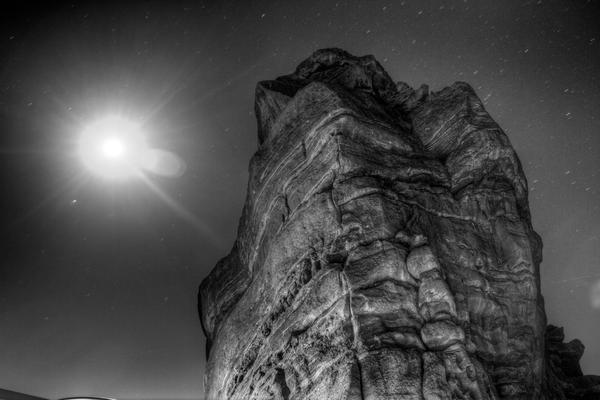 Copyrighted Photograph http://www.timnormanphoto.com/